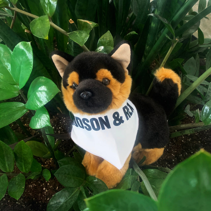 Rex Stuffed Toy | Hudson & Rex
