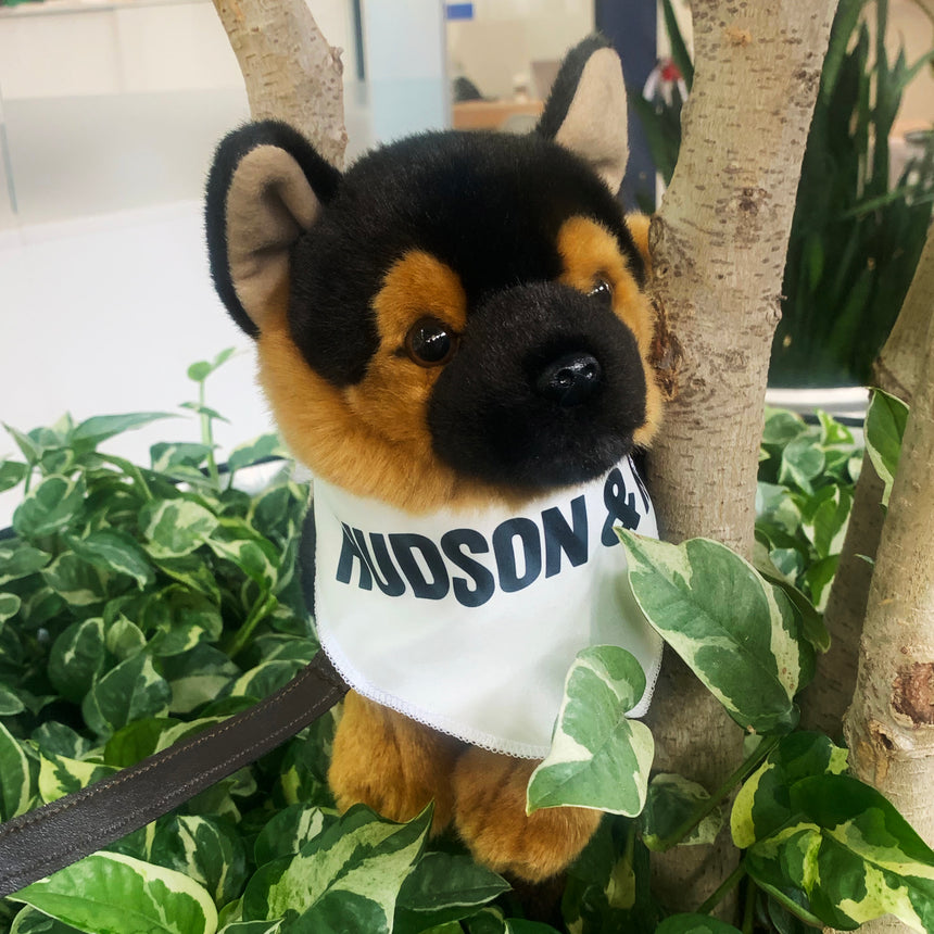 Rex Stuffed Toy | Hudson & Rex